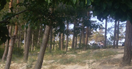 Qargha_picnic2.jpg گردشگاه قرغه