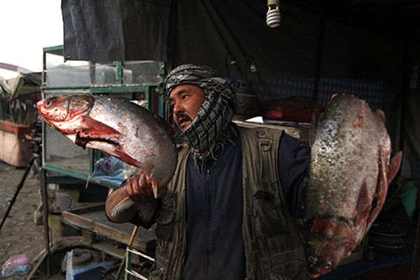 A fishmonger displays his wares to attract customers. Kabul, 2010. 